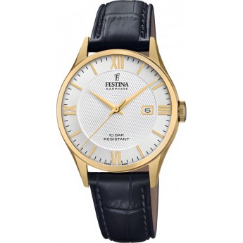 Наручные часы мужские FESTINA Classic 20010.2