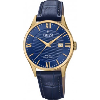 Наручные часы мужские FESTINA Classic 20010.3